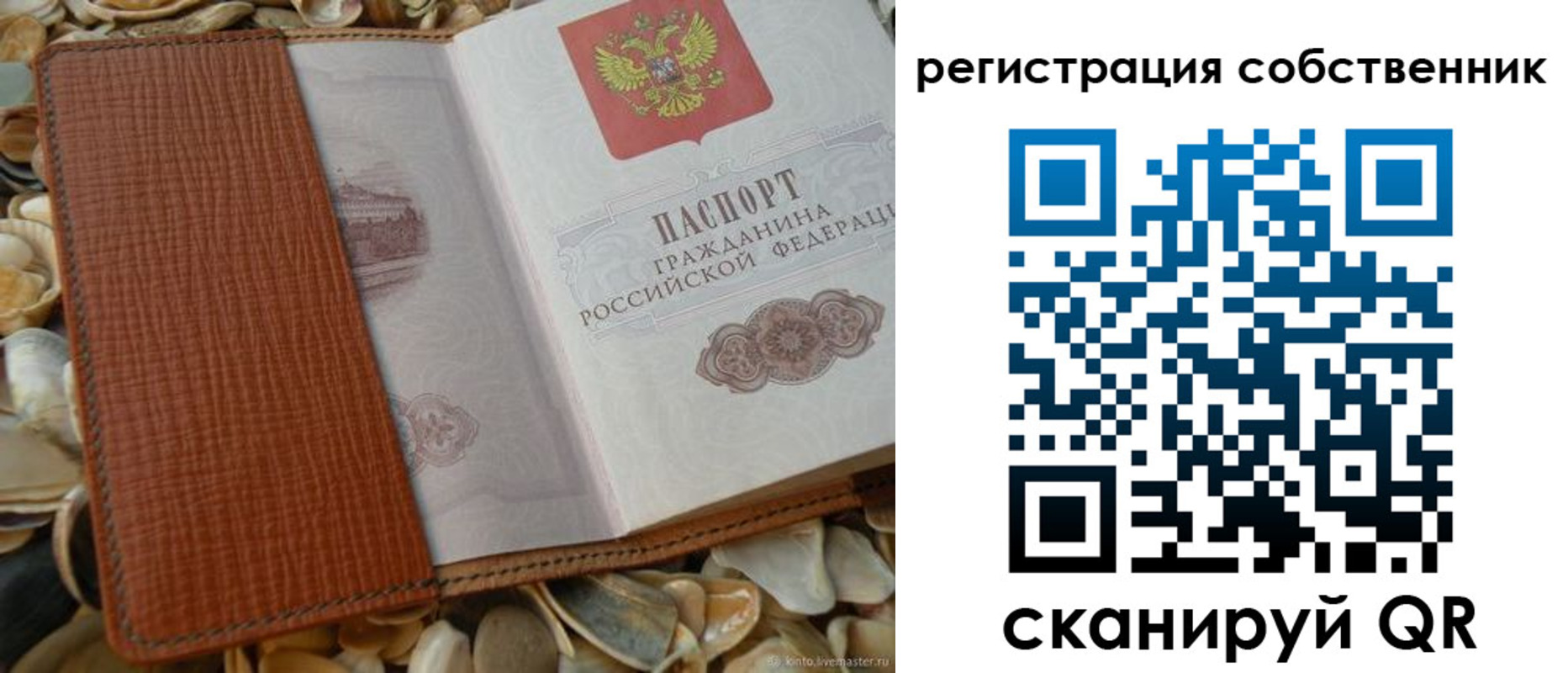 прописка иностранных граждан в Выборге